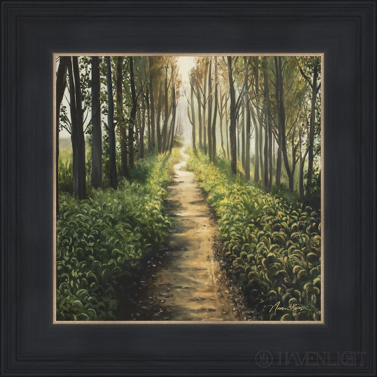 Enjoy The Beauty On Your Broken Path Forest Walkway Open Edition Print / 12 X Black 16 3/4 Art