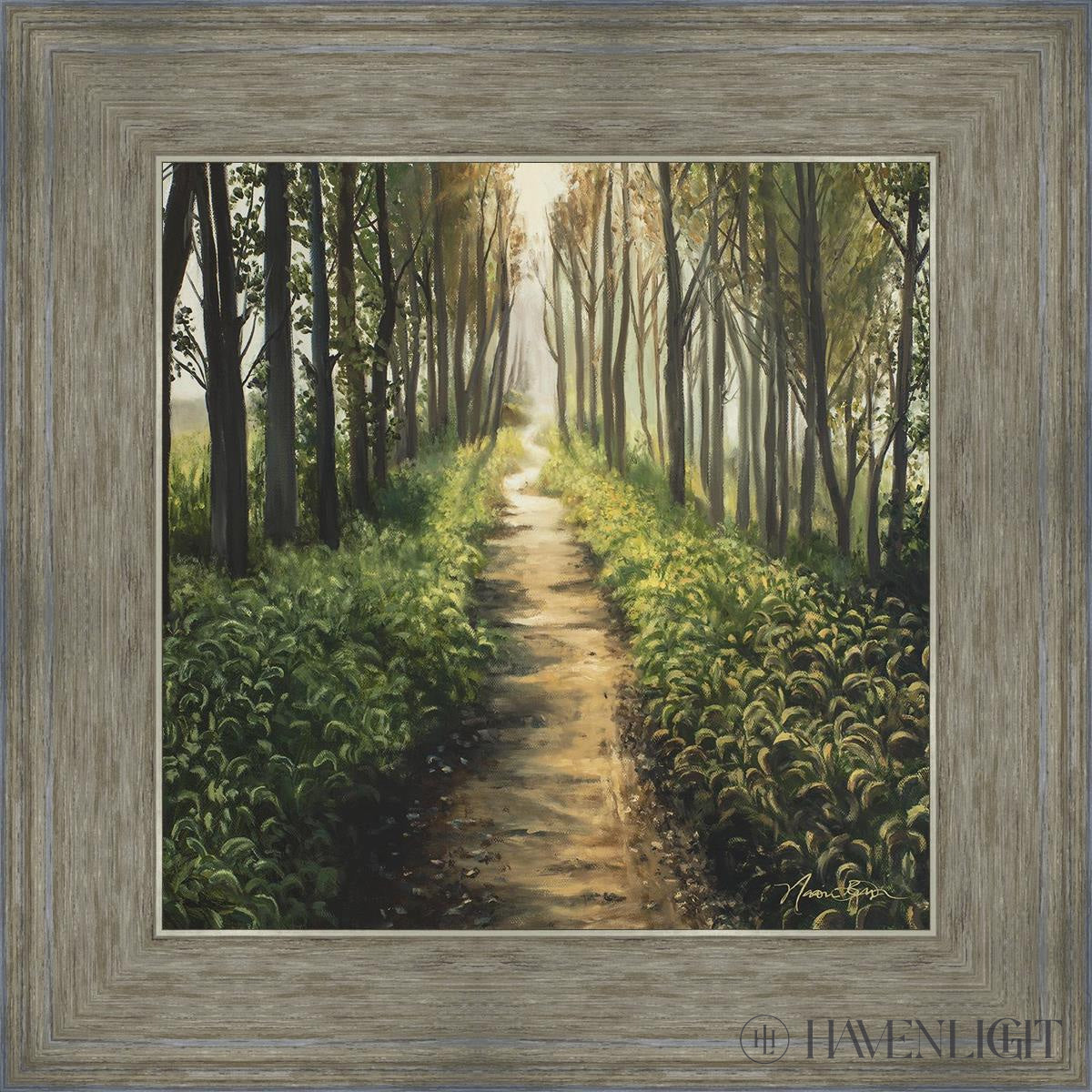 Enjoy The Beauty On Your Broken Path Forest Walkway Open Edition Print / 12 X Gray 16 3/4 Art