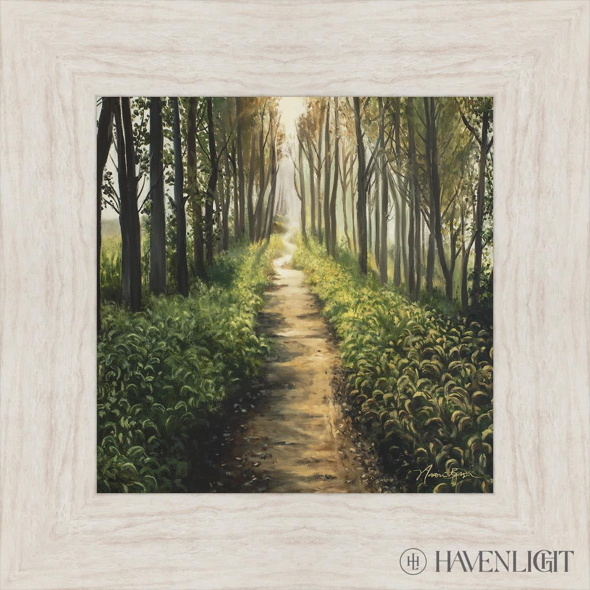 Enjoy The Beauty On Your Broken Path Forest Walkway Open Edition Print / 12 X Ivory 17 1/2 Art