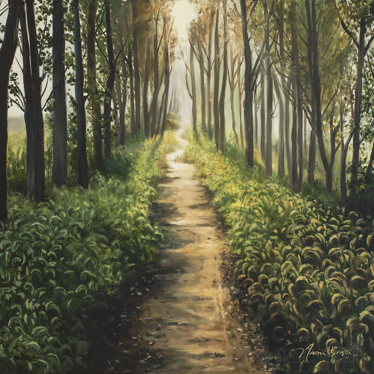 Enjoy The Beauty On Your Broken Path Forest Walkway Open Edition Print / 12 X Only Art