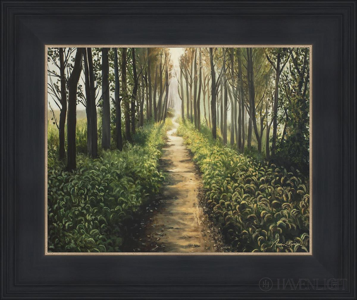 Enjoy The Beauty On Your Broken Path Forest Walkway Open Edition Print / 14 X 11 Black 18 3/4 15 Art