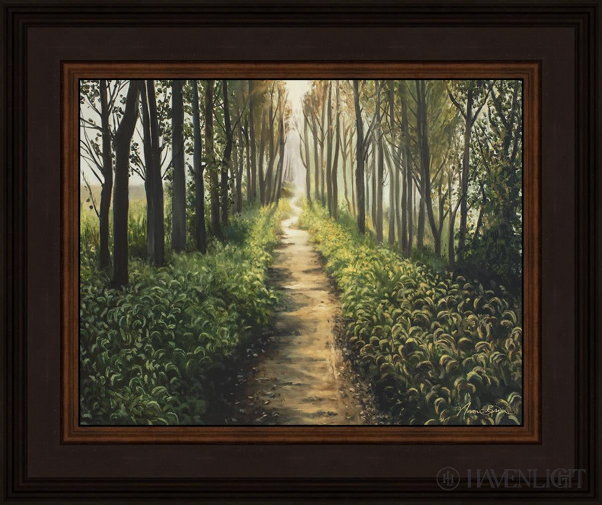 Enjoy The Beauty On Your Broken Path Forest Walkway Open Edition Print / 14 X 11 Brown 18 3/4 15 Art