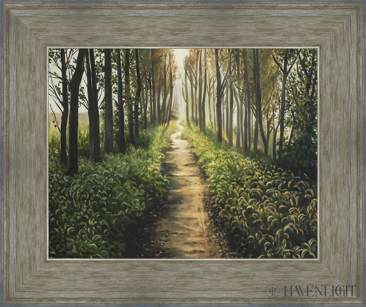 Enjoy The Beauty On Your Broken Path Forest Walkway Open Edition Print / 14 X 11 Gray 18 3/4 15 Art