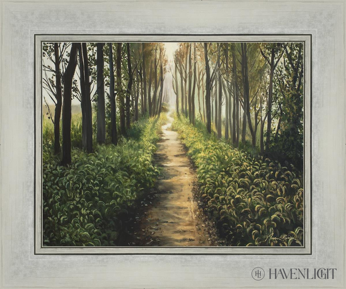 Enjoy The Beauty On Your Broken Path Forest Walkway Open Edition Print / 14 X 11 Silver 18 1/4 15