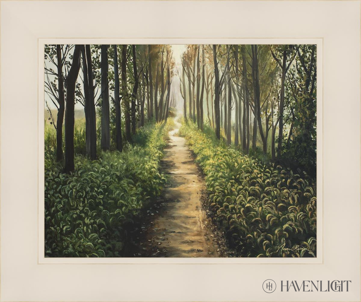 Enjoy The Beauty On Your Broken Path Forest Walkway Open Edition Print / 14 X 11 White 18 1/4 15 Art