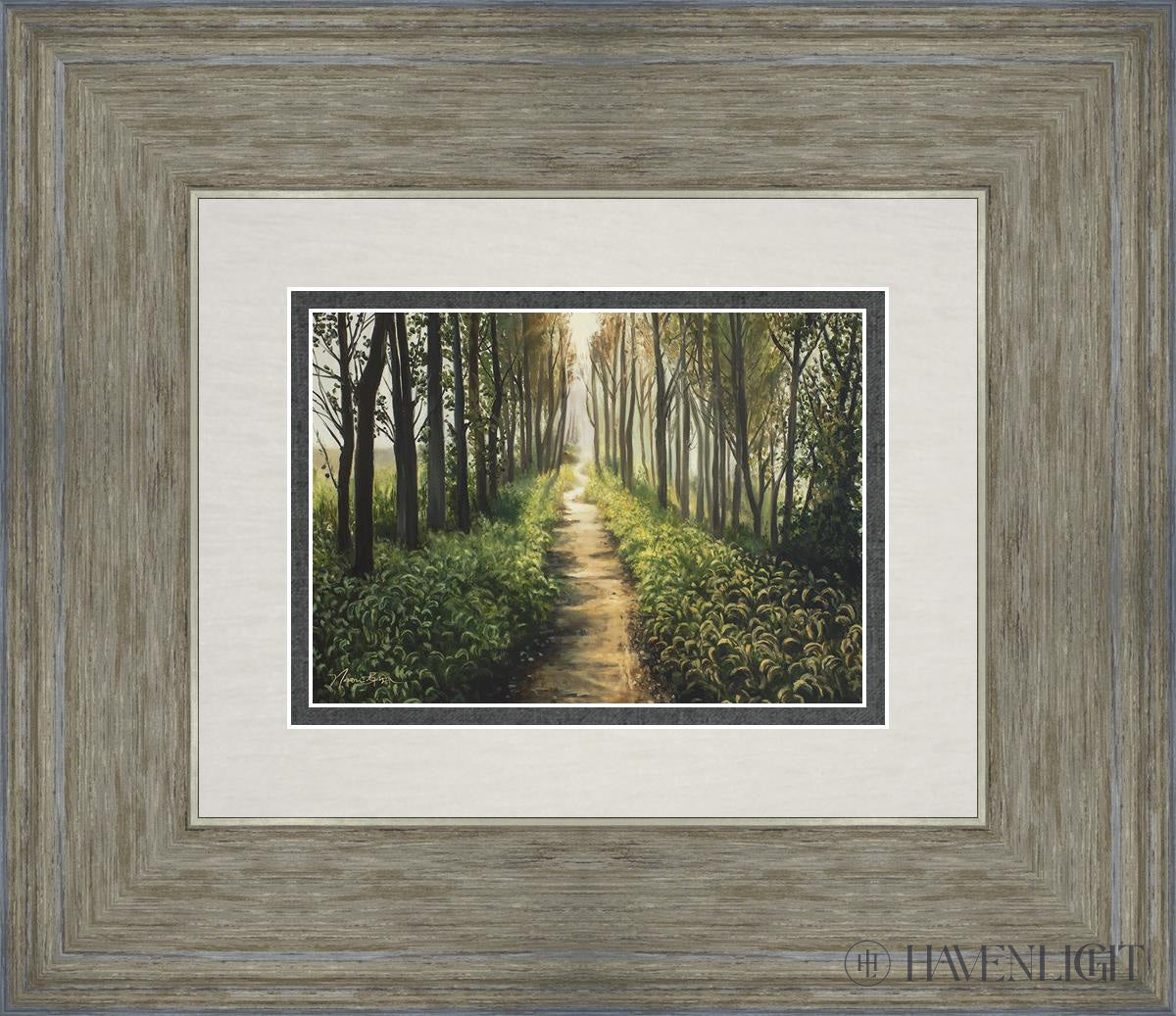 Enjoy The Beauty On Your Broken Path Forest Walkway Open Edition Print / 7 X 5 Gray 14 3/4 12 Art