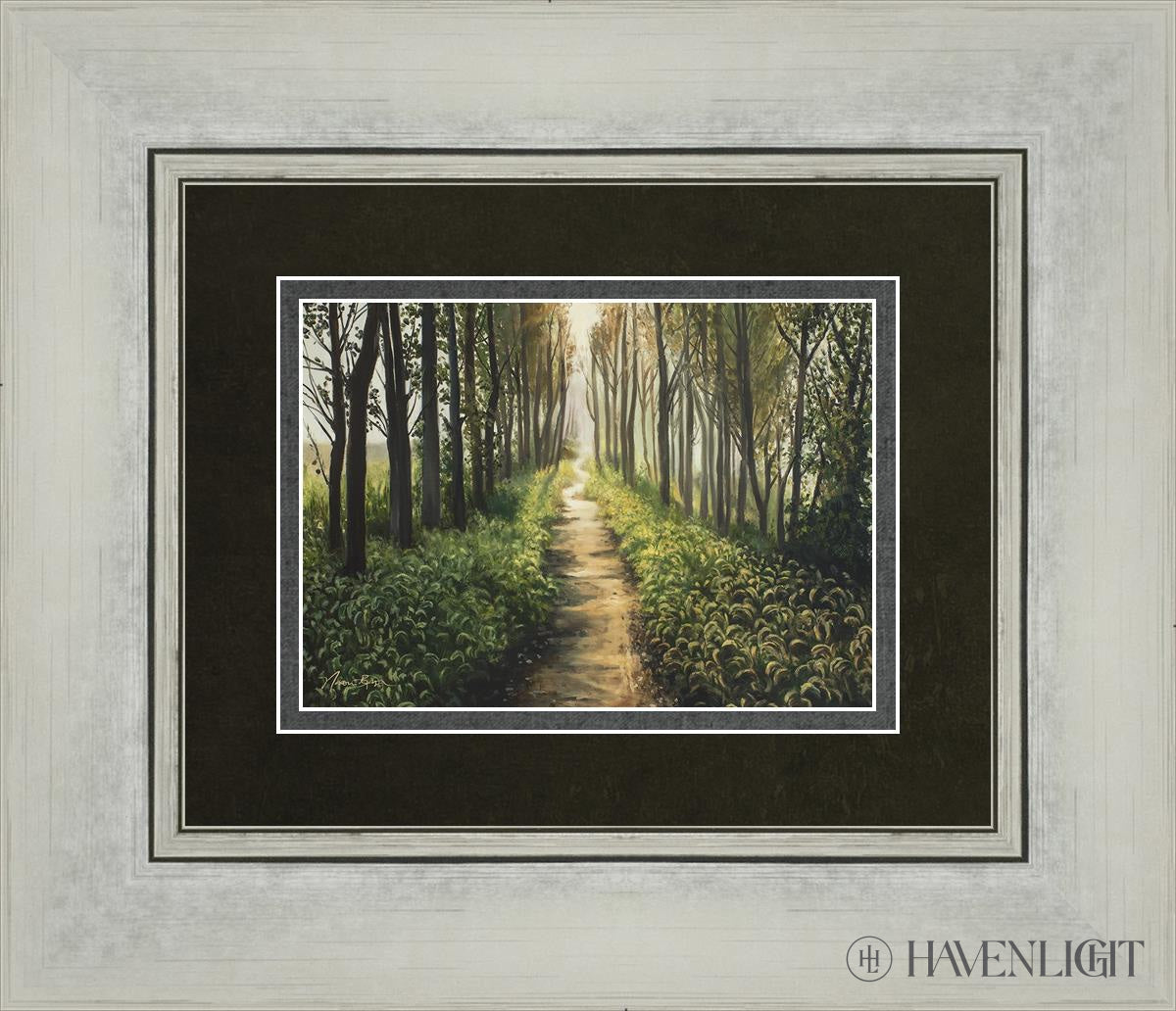 Enjoy The Beauty On Your Broken Path Forest Walkway Open Edition Print / 7 X 5 Silver 14 1/4 12 Art