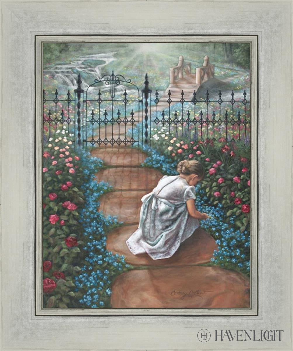 Forget Me Not Open Edition Canvas / 11 X 14 Silver 15 1/4 18 Art