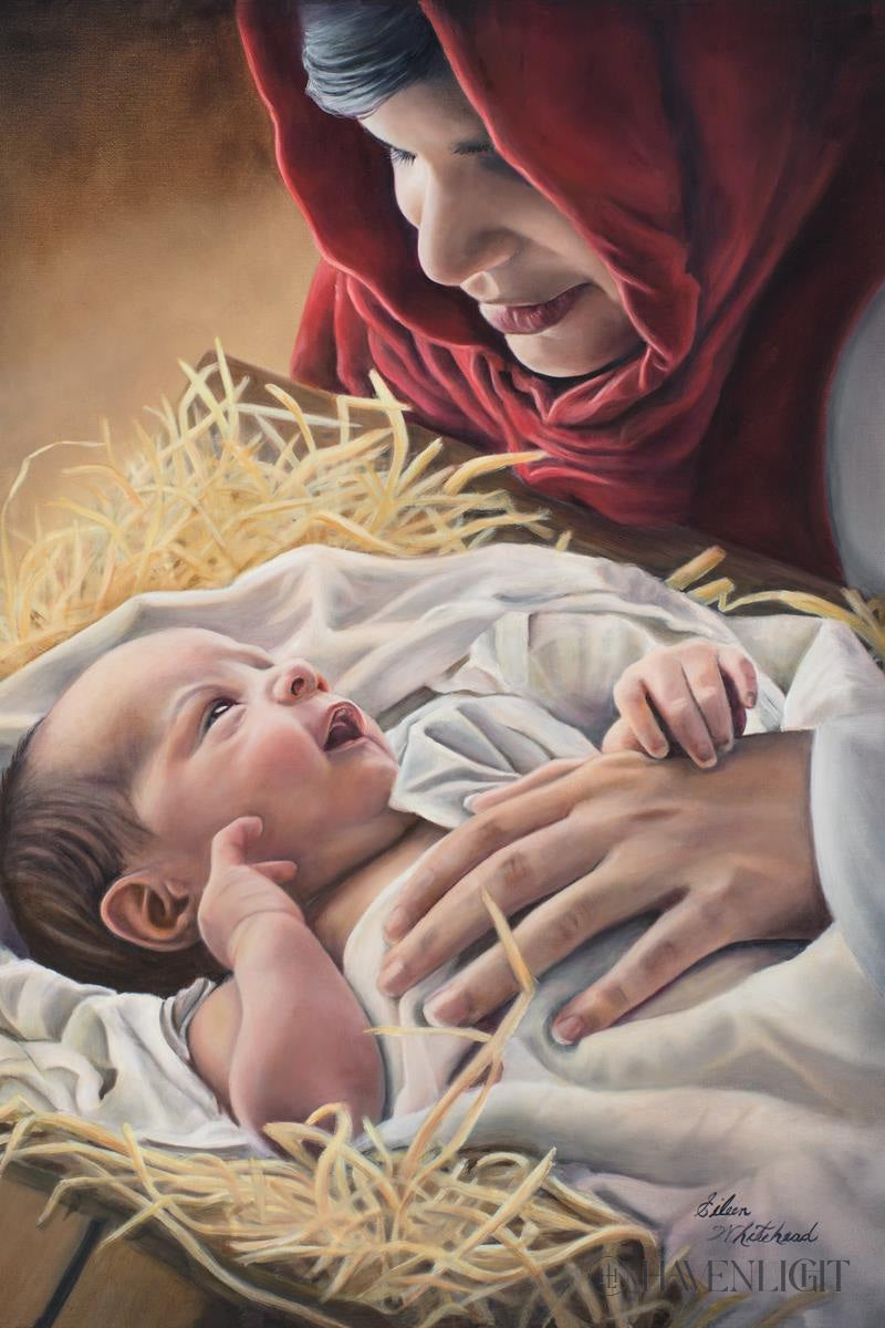 Love Open Edition Canvas / 24 X 36 Rolled In Tube Art