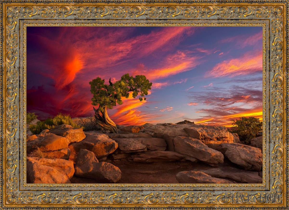 Moab Morning Open Edition Canvas / 36 X 24 Gold 43 3/4 31 Art