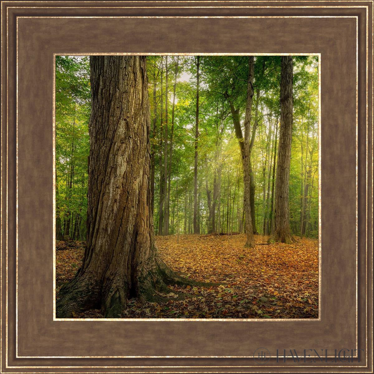 oh how lovely was the morning by alan fullmer sacred grove palmyra new ...