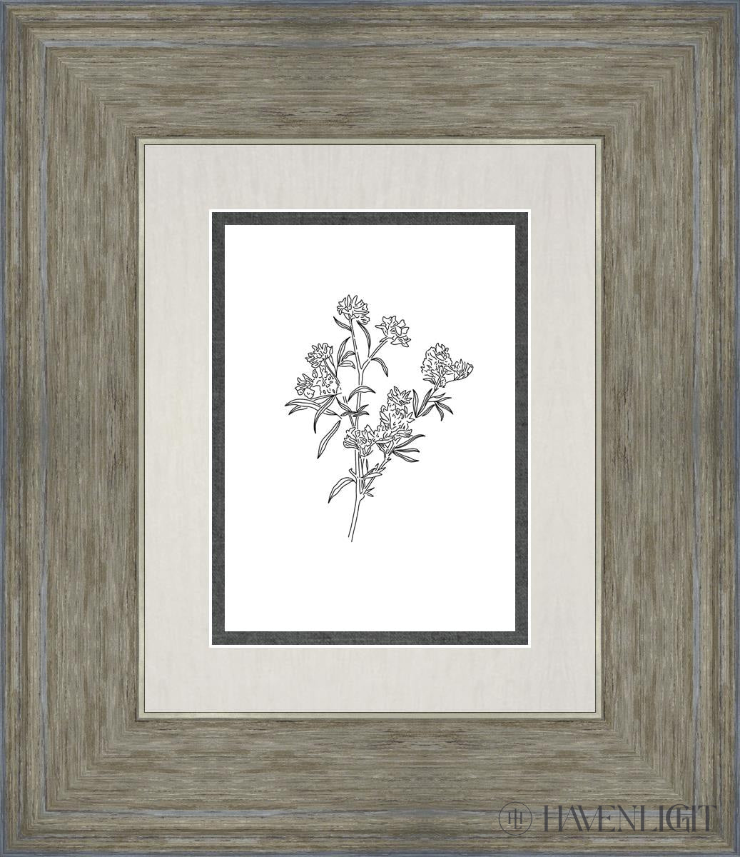 Peach Tree Flowers Open Edition Print / 5 X 7 Gray 12 3/4 14 Art