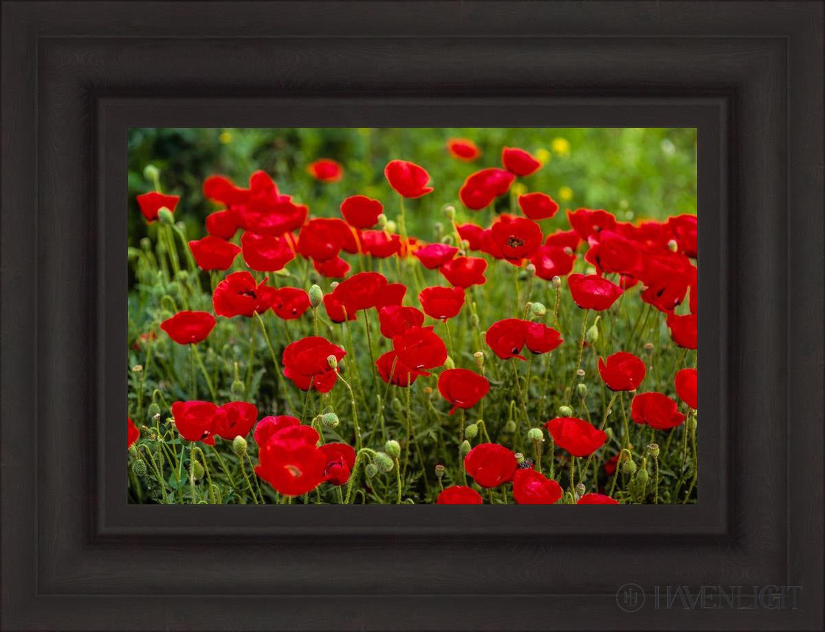 Plate 2 - Poppies In Abundance Open Edition Canvas / 18 X 12 Brown 25 3/4 19 Art