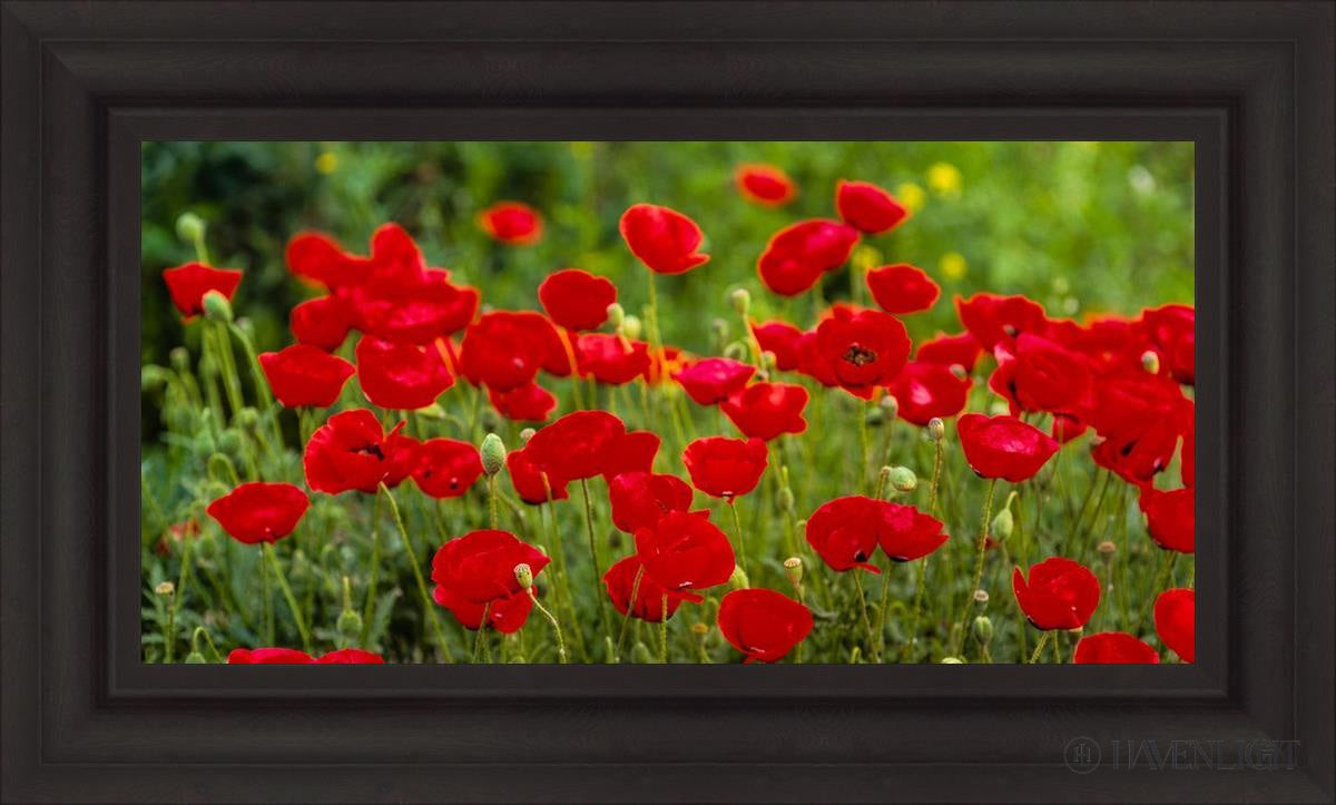 Plate 2 - Poppies In Abundance Open Edition Canvas / 30 X 15 Brown 37 3/4 22 Art