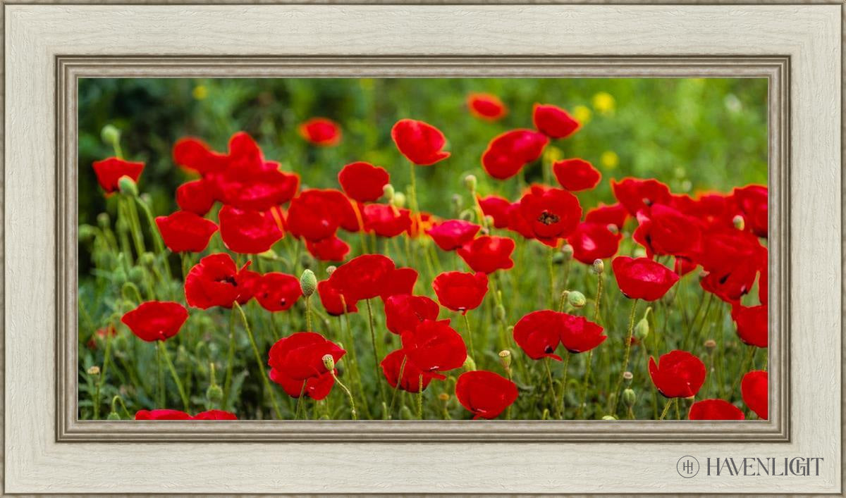 Plate 2 - Poppies In Abundance Open Edition Canvas / 30 X 15 Ivory 36 1/2 21 Art