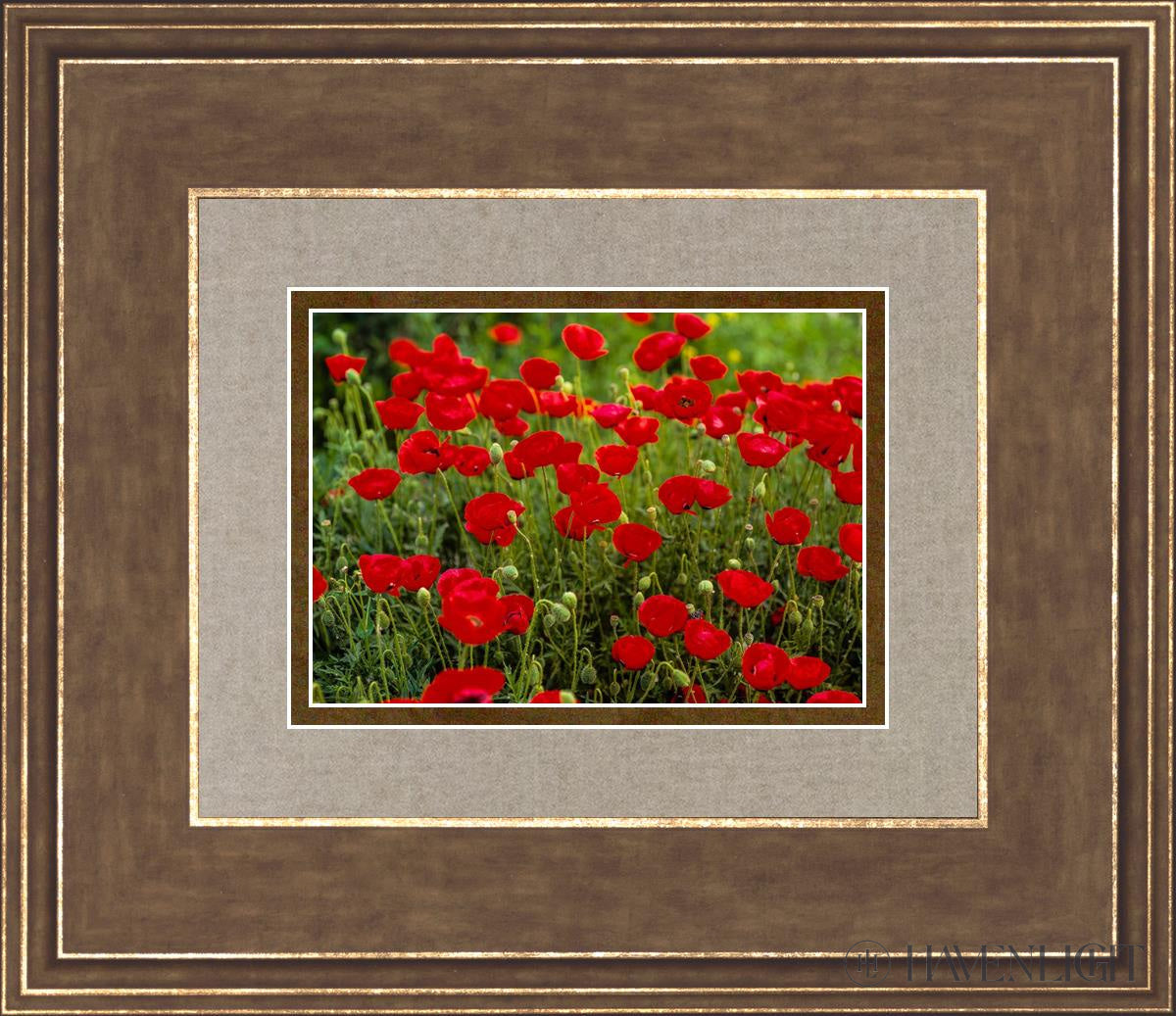 Plate 2 - Poppies In Abundance Open Edition Print / 7 X 5 Gold 14 3/4 12 Art