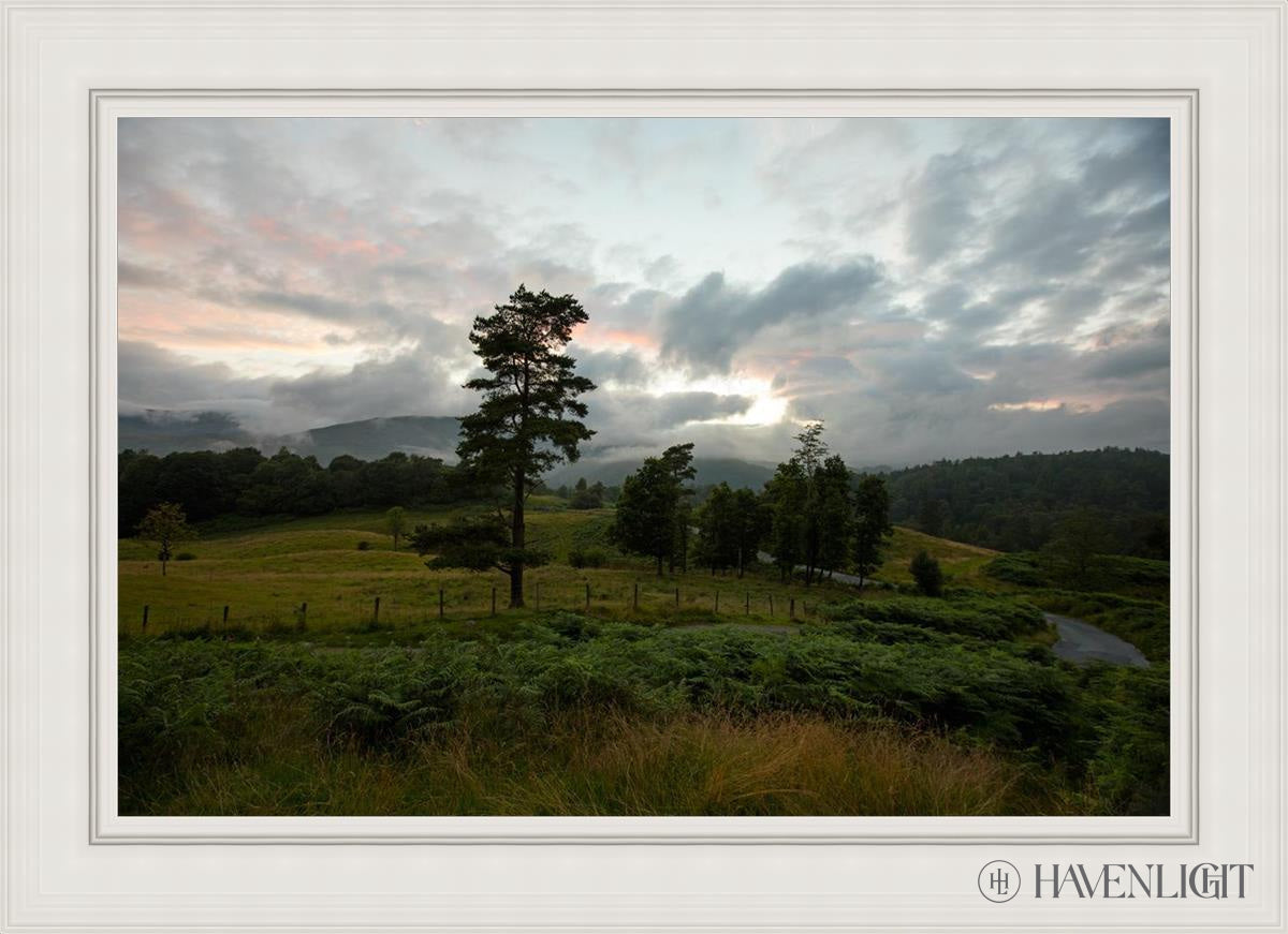 Plate 3 - Tarn Hows Above Ambleside Open Edition Canvas / 36 X 24 White 43 3/4 31 Art