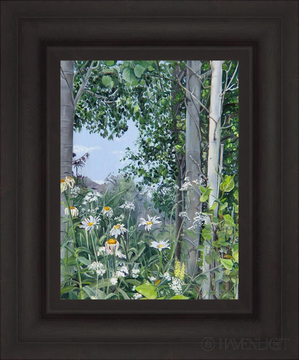 Quakies And Daisies Open Edition Canvas / 12 X 16 Brown 19 3/4 23 Art