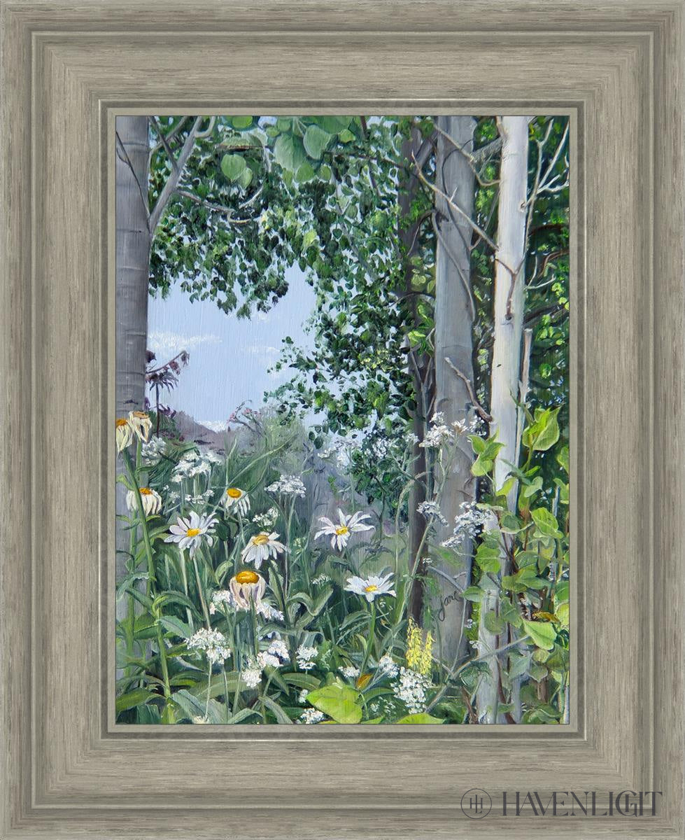 Quakies And Daisies Open Edition Canvas / 12 X 16 Gray 17 3/4 21 Art