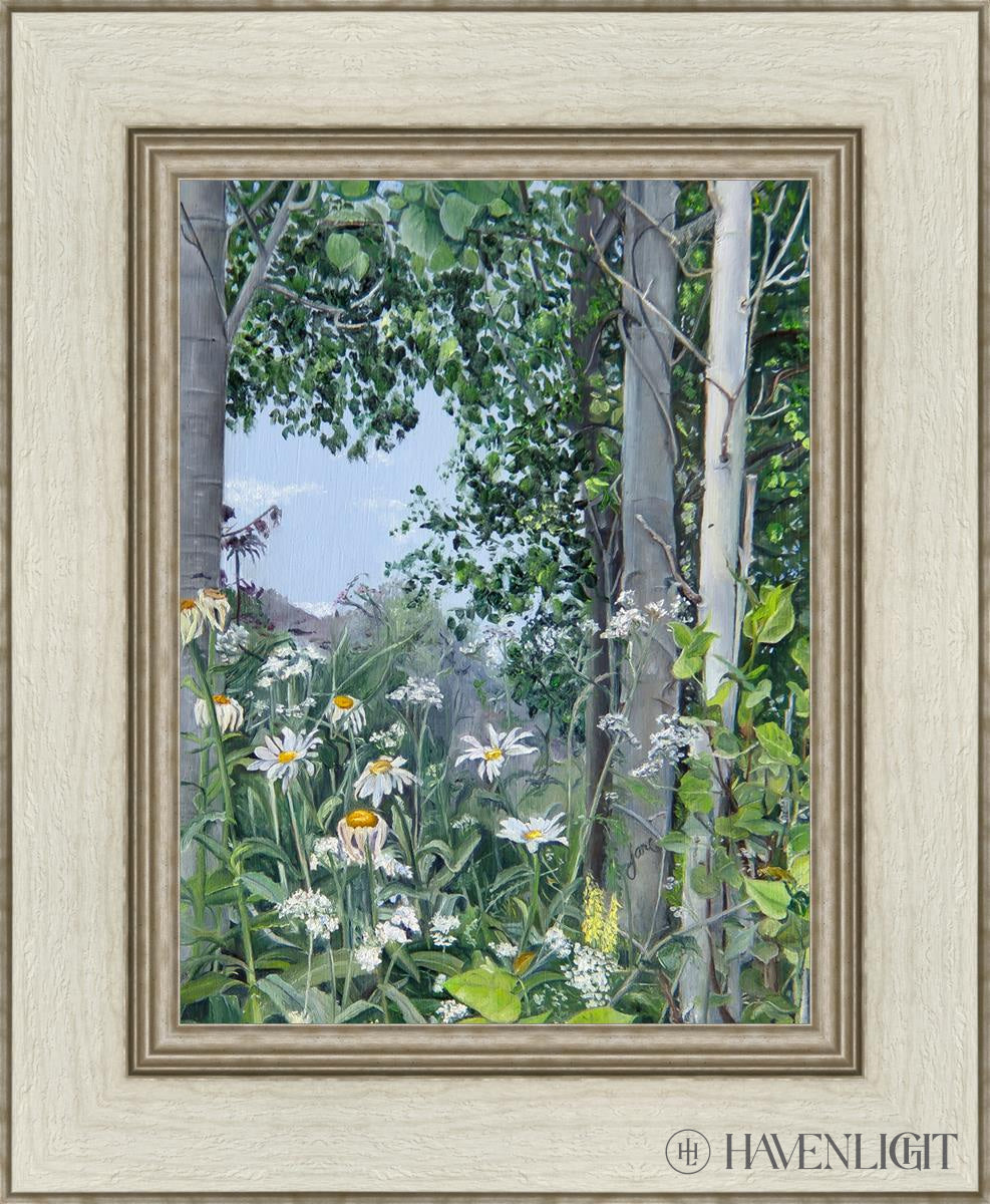 Quakies And Daisies Open Edition Canvas / 12 X 16 Ivory 18 1/2 22 Art