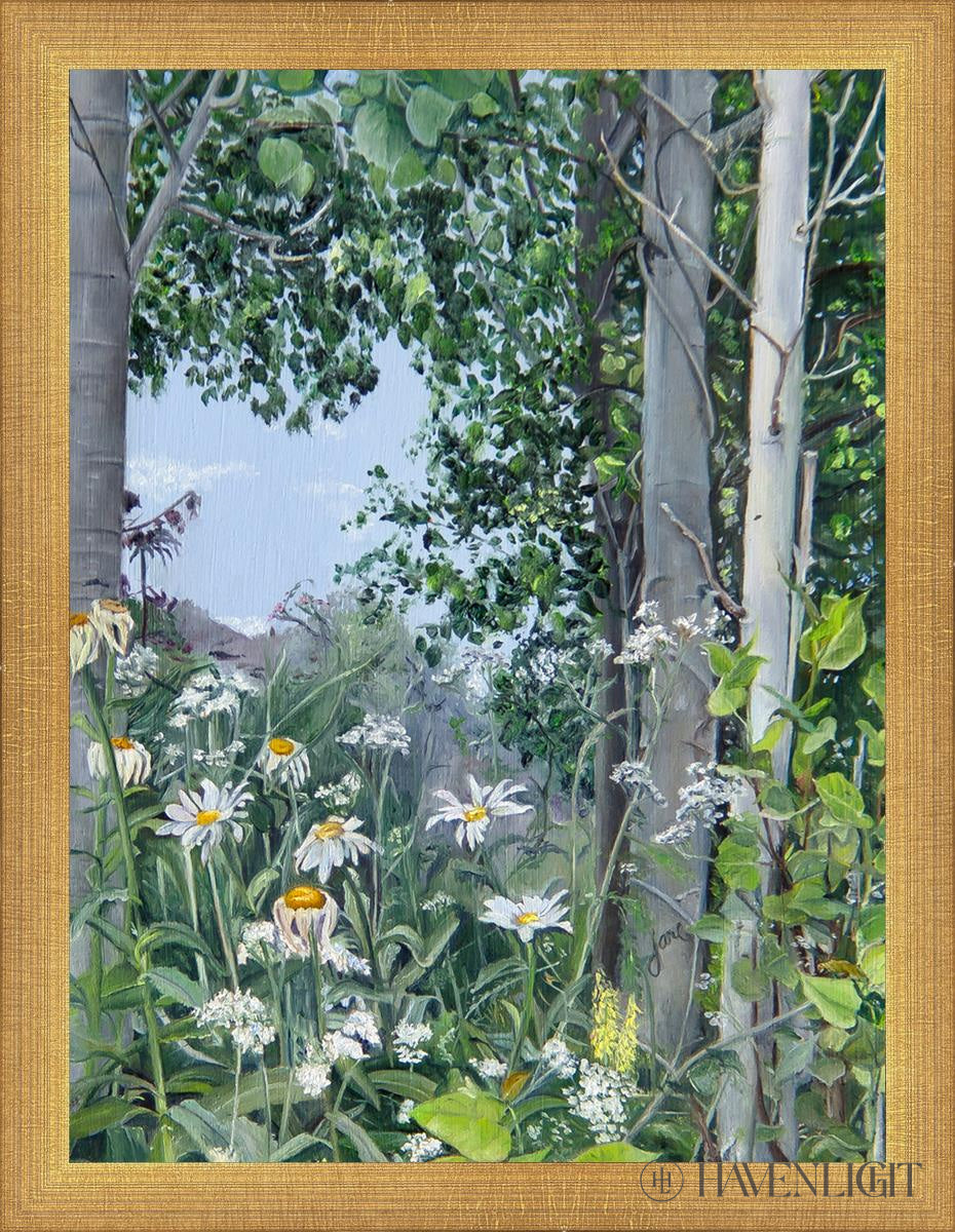 Quakies And Daisies Open Edition Canvas / 12 X 16 Matte Gold 13 3/4 17 Art