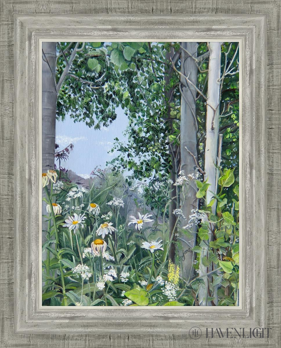 Quakies And Daisies Open Edition Canvas / 12 X 16 Silver 3/4 20 Art