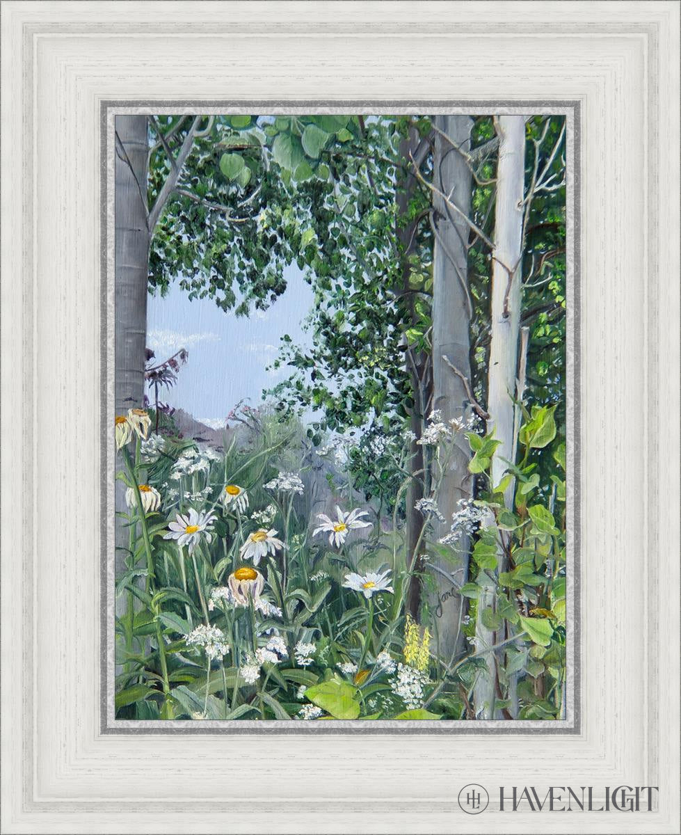 Quakies And Daisies Open Edition Canvas / 12 X 16 White 17 3/4 21 Art