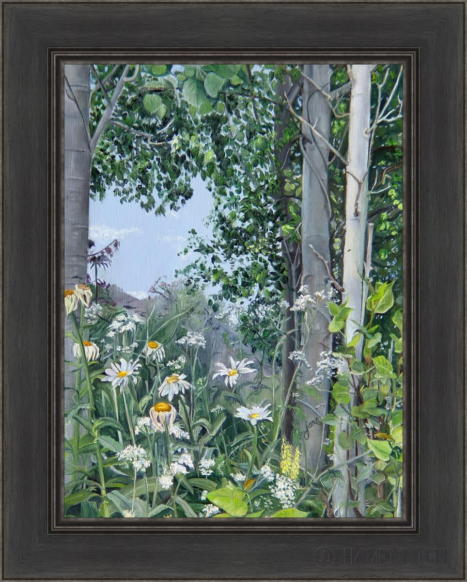 Quakies And Daisies Open Edition Canvas / 18 X 24 Black 1/2 30 Art
