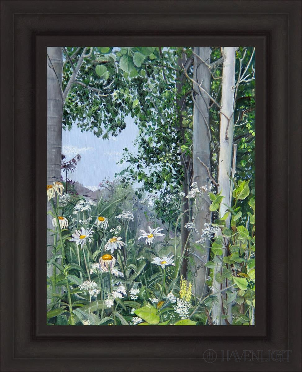 Quakies And Daisies Open Edition Canvas / 18 X 24 Brown 25 3/4 31 Art