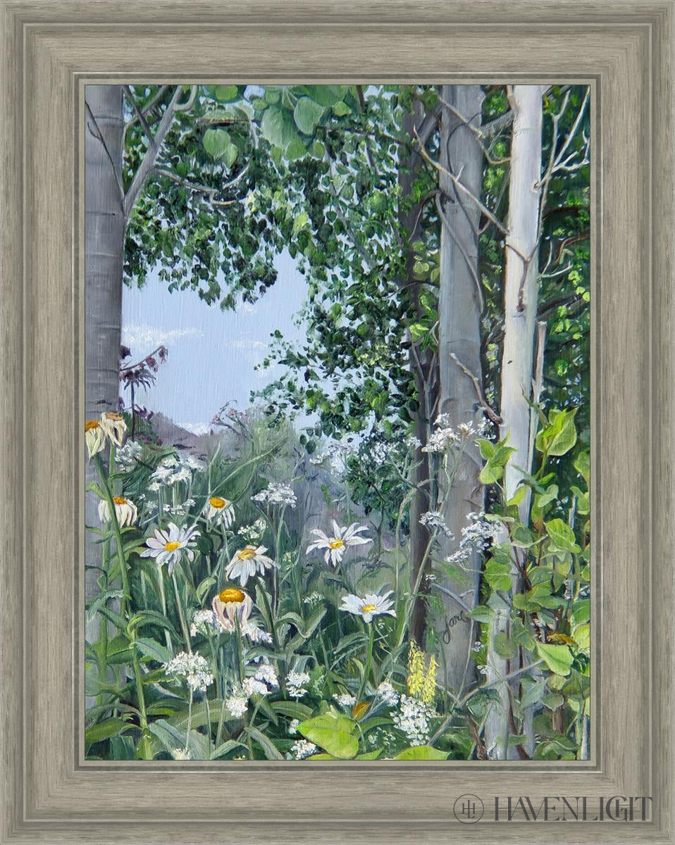 Quakies And Daisies Open Edition Canvas / 18 X 24 Gray 23 3/4 29 Art