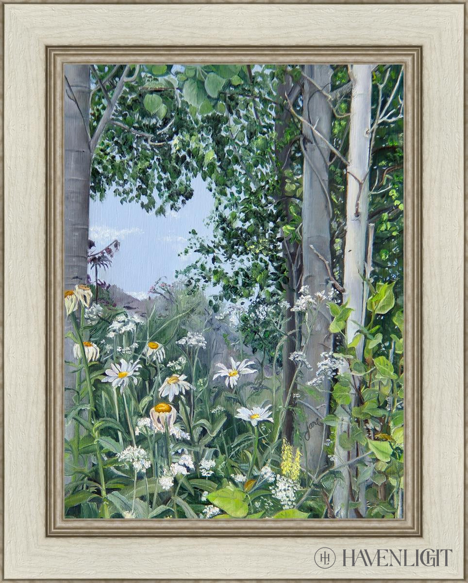 Quakies And Daisies Open Edition Canvas / 18 X 24 Ivory 1/2 30 Art