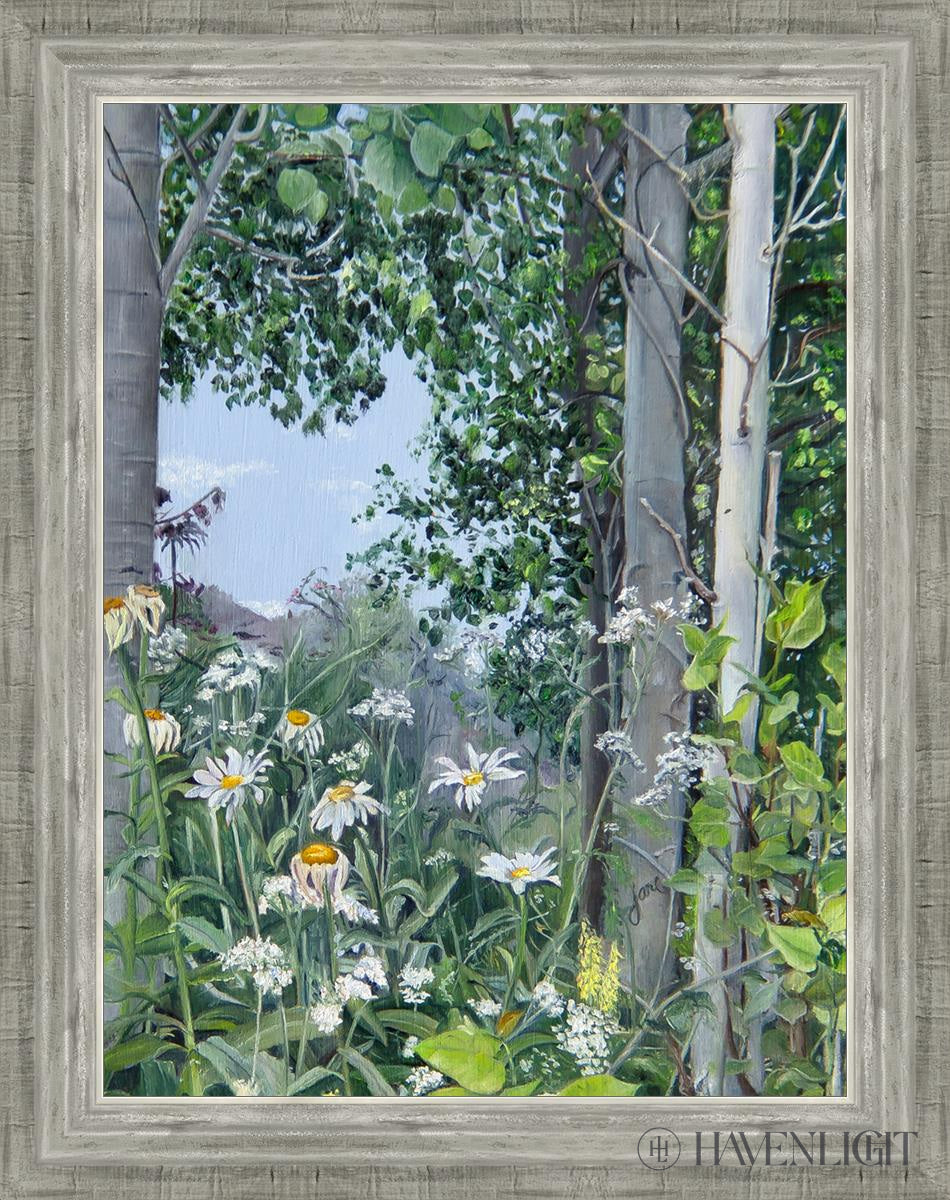 Quakies And Daisies Open Edition Canvas / 18 X 24 Silver 22 3/4 28 Art