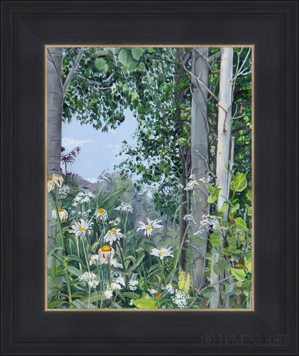 Quakies And Daisies Open Edition Print / 11 X 14 Black 15 3/4 18 Art