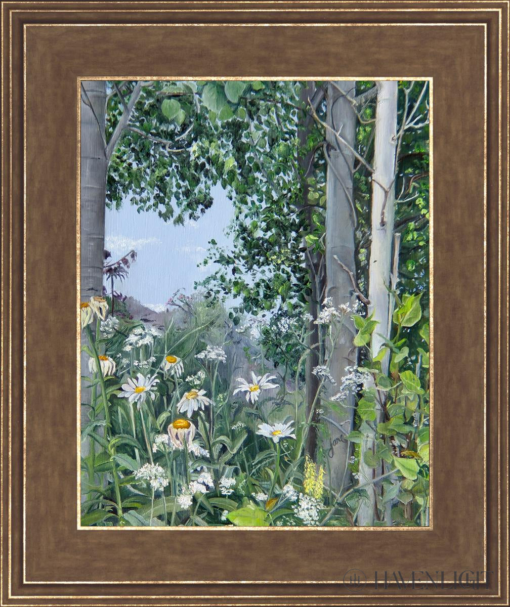 Quakies And Daisies Open Edition Print / 11 X 14 Gold 15 3/4 18 Art