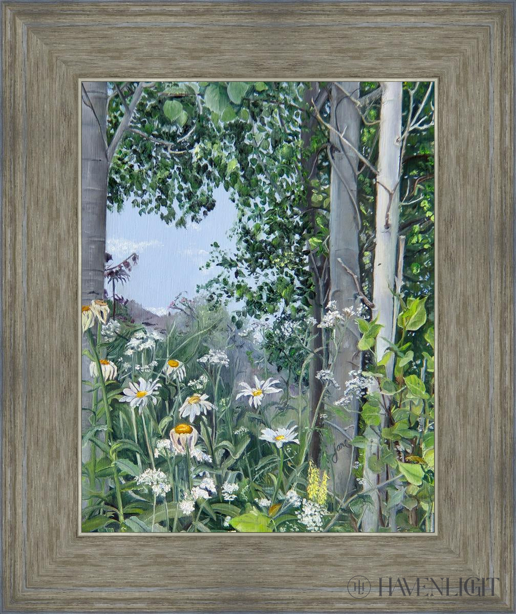 Quakies And Daisies Open Edition Print / 11 X 14 Gray 15 3/4 18 Art