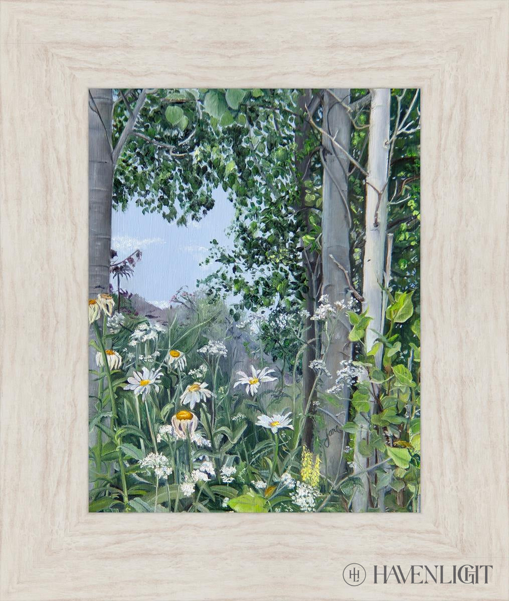 Quakies And Daisies Open Edition Print / 11 X 14 Ivory 16 1/2 19 Art