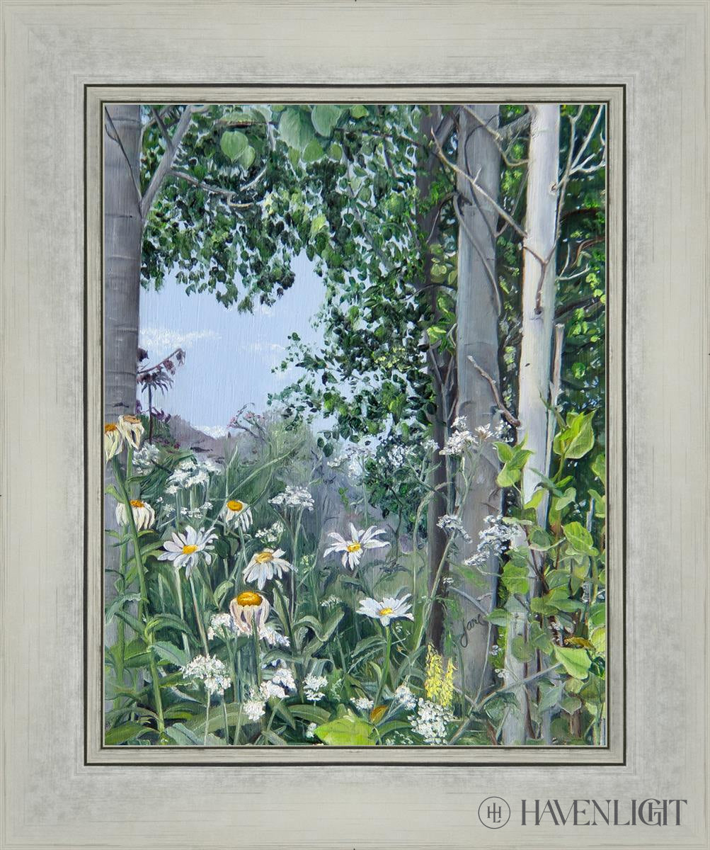 Quakies And Daisies Open Edition Print / 11 X 14 Silver 15 1/4 18 Art