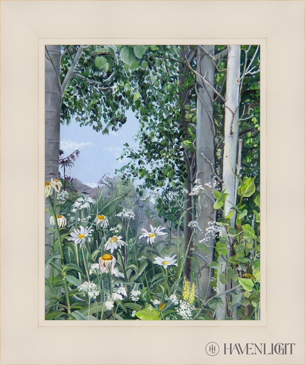 Quakies And Daisies Open Edition Print / 11 X 14 White 15 1/4 18 Art