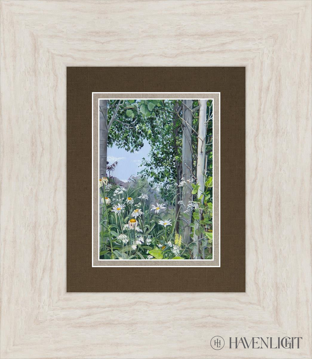 Quakies And Daisies Open Edition Print / 5 X 7 Ivory 13 1/2 15 Art