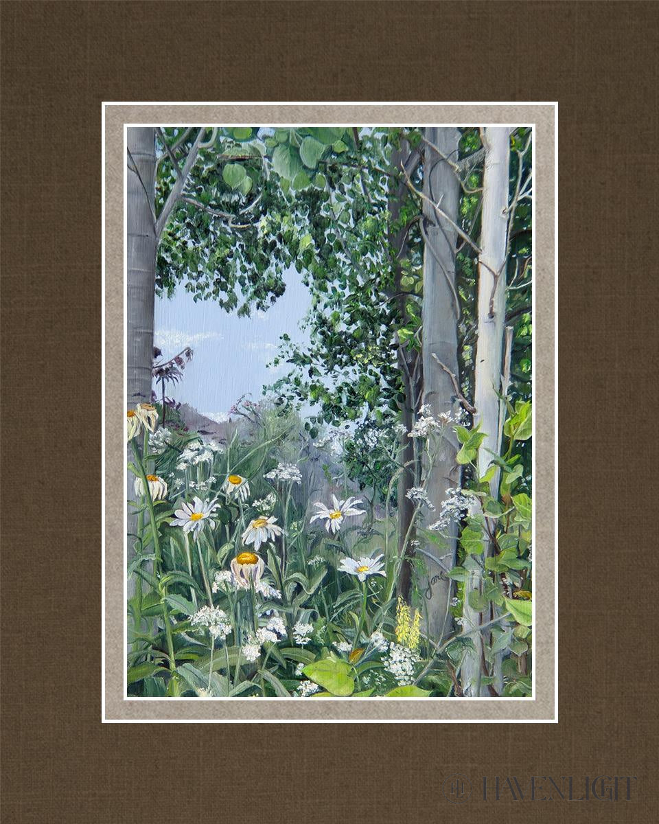 Quakies And Daisies Open Edition Print / 5 X 7 Matted To 8 10 Art