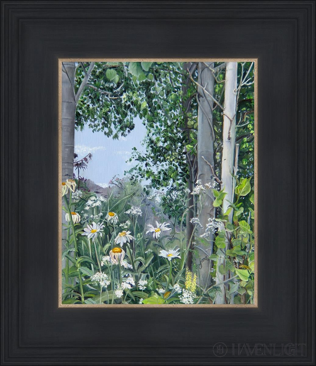 Quakies And Daisies Open Edition Print / 8 X 10 Black 12 3/4 14 Art