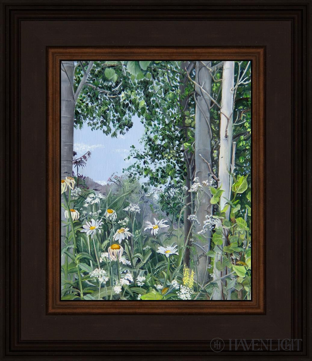 Quakies And Daisies Open Edition Print / 8 X 10 Brown 12 3/4 14 Art