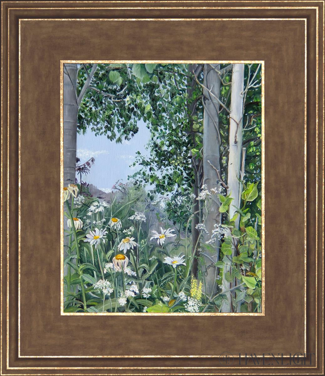Quakies And Daisies Open Edition Print / 8 X 10 Gold 12 3/4 14 Art