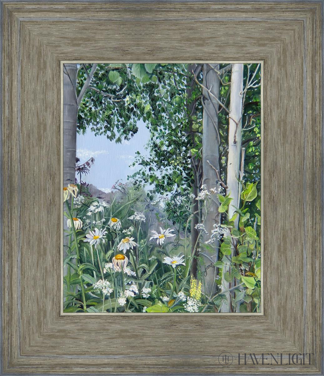 Quakies And Daisies Open Edition Print / 8 X 10 Gray 12 3/4 14 Art