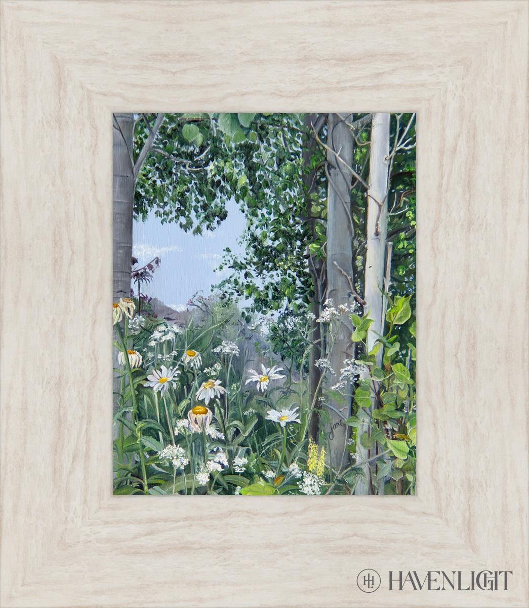 Quakies And Daisies Open Edition Print / 8 X 10 Ivory 13 1/2 15 Art