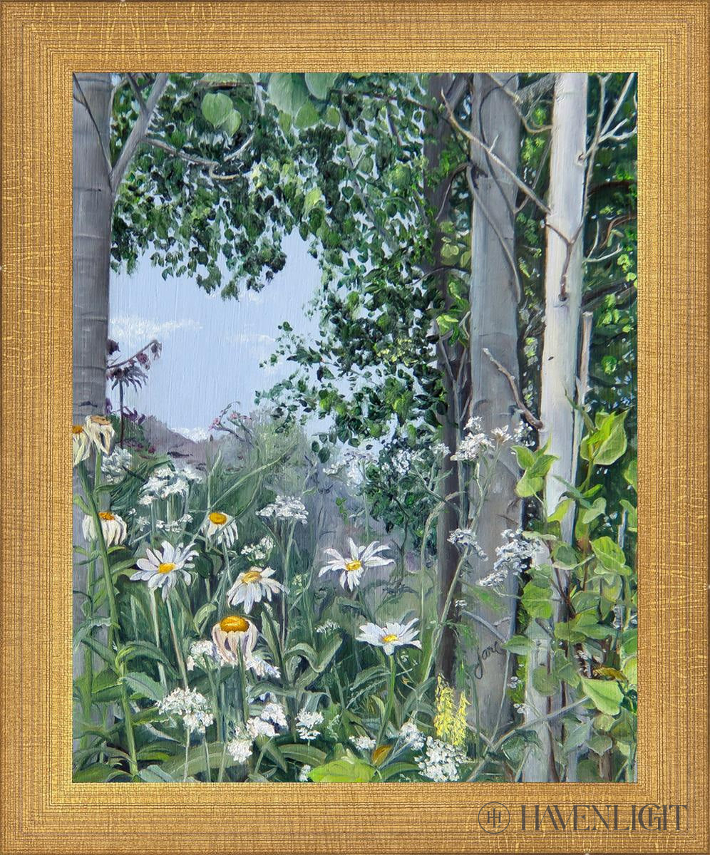 Quakies And Daisies Open Edition Print / 8 X 10 Matte Gold 9 3/4 11 Art