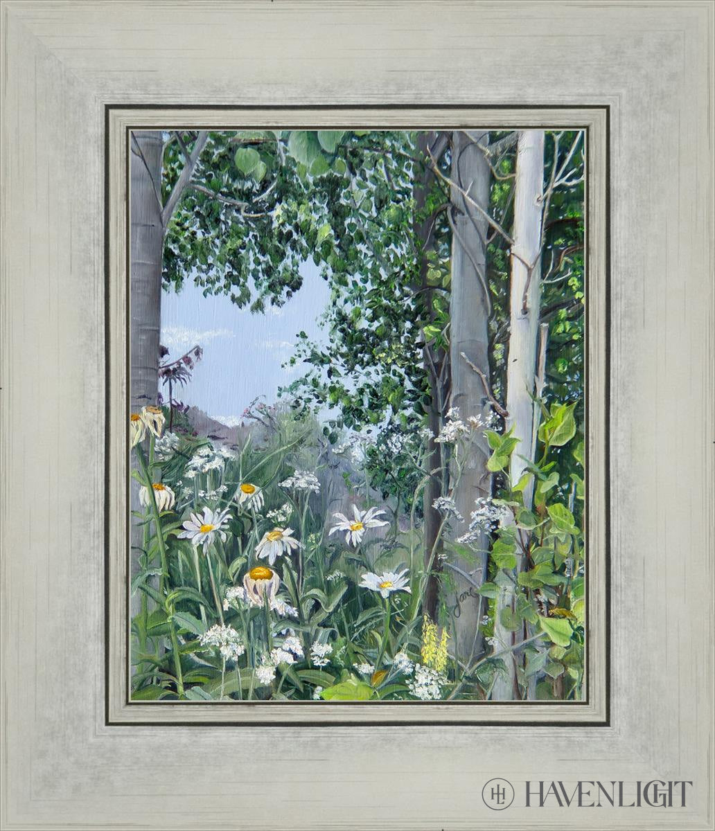 Quakies And Daisies Open Edition Print / 8 X 10 Silver 12 1/4 14 Art