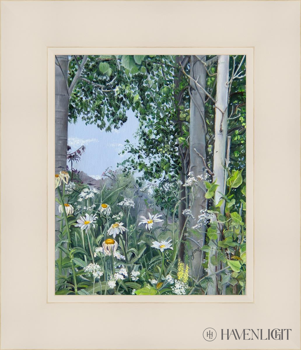 Quakies And Daisies Open Edition Print / 8 X 10 White 12 1/4 14 Art