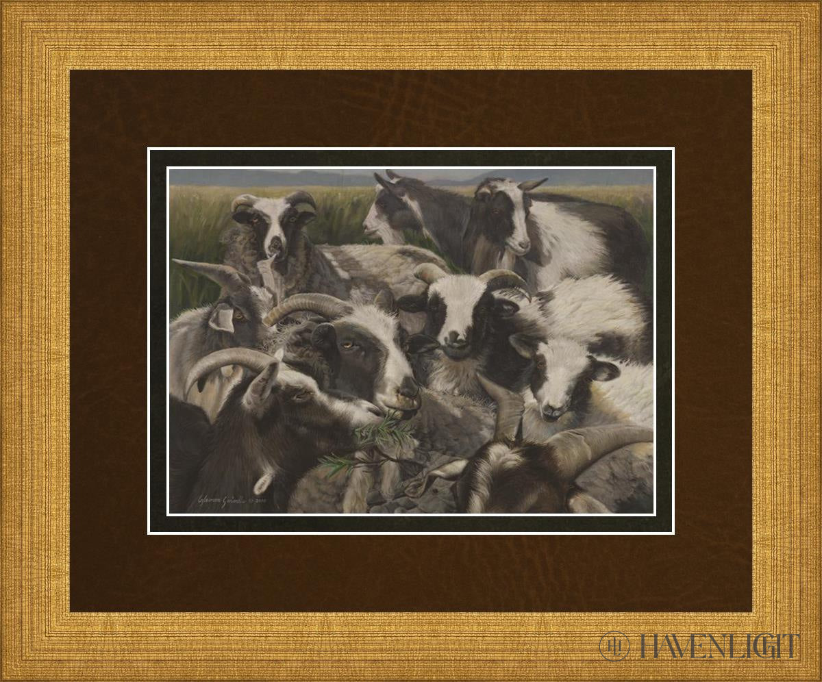 Sheep And Goats Open Edition Print / 7 X 5 Matte Gold 11 3/4 9 Art