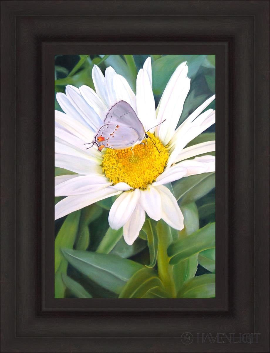 The Daisy And Butterfly Open Edition Canvas / 12 X 18 Brown 19 3/4 25 Art